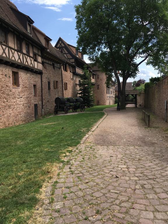Le P'Retzel & Le Sticksy Apartment Riquewihr Exterior photo